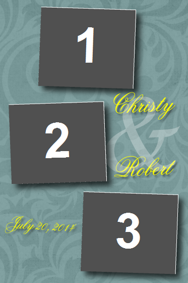 Style 29 Boston Danvers Peabody Waltham Andover Worcester Portsmouth Gloucester Wedding Photo Booth DJ Service CoolCityEntertainment DJ Chris
